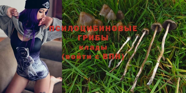 мяу мяу кристалл Алексин