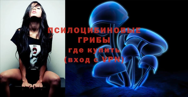 ПСИЛОЦИБИНОВЫЕ ГРИБЫ Алзамай