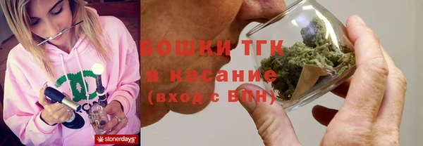 ПСИЛОЦИБИНОВЫЕ ГРИБЫ Алзамай