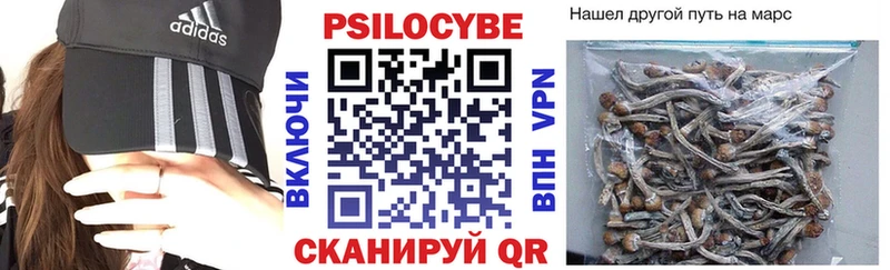 Псилоцибиновые грибы Cubensis  Черепаново 