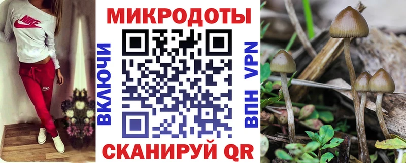Галлюциногенные грибы Psilocybine cubensis Черепаново